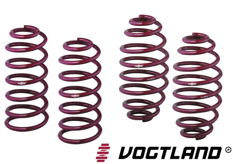 Vogtland Sport Springs for 2014+ Ford Fiesta ST